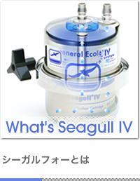What's Seagull IV եȤ