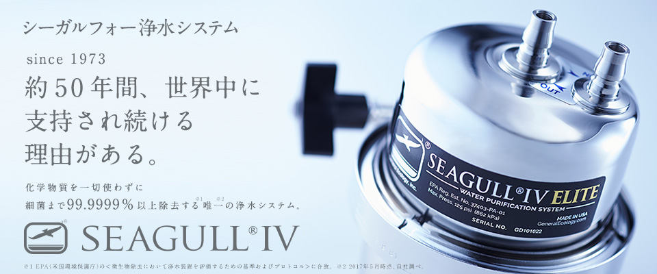 SEAGULL®IV