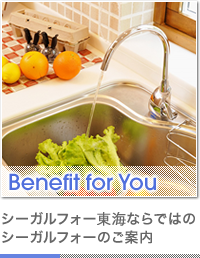 Benefit for You ե쳤ʤǤϤΥեΤ