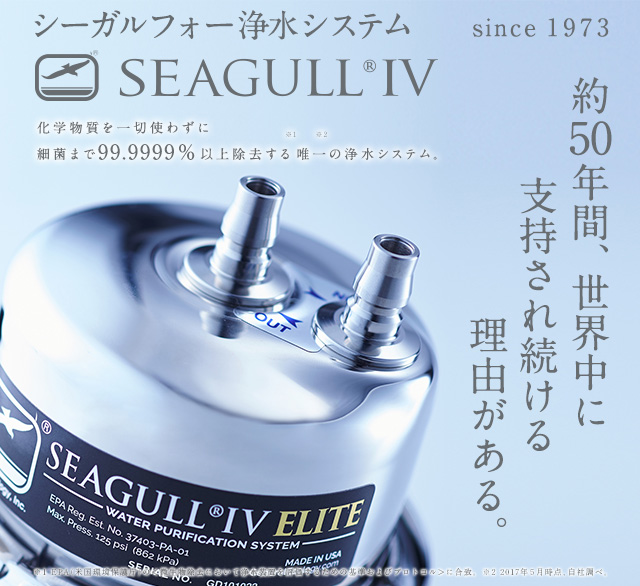 SEAGULL® IV